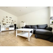 išnuomojamas 2 kamb. butas Dainavos r. Savanorių pr. 254 Kaunas